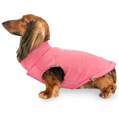 DJANGO Puffer Dog Coat warms tiny dogs on cold walks