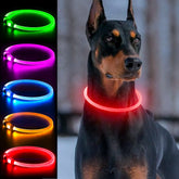 Dlitk collar LED 360 para perros, visibilidad nocturna para paseos seguros.
