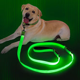 Dlitk light-up dog leash, 6ft, green glow boosts night visibility for safer walks