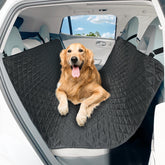 DMS PROTECTOR large dog car seat cover on back seat protects seats from dirt and dog hair.