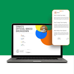 DNA MY DOG results-online-dashboard provides clear breed breakdown and simple certificate access