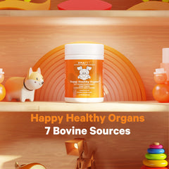 DNA PET Happy Healthy Organs scoop pours powder into dog bowl for easy mixing.