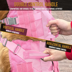 Dnallrino large-dog harness with three D-rings for versatile leash options