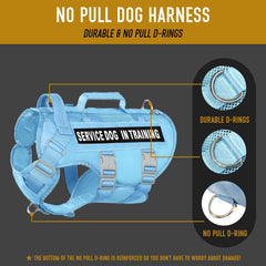 Dnallrino MOLLE system vest with patch area for personalized service gear.