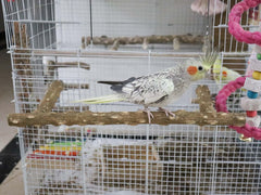 Dnoifne easy-install perch with built-in hardware speeds cage setup.
