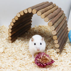 Dnoifne hermit crab hideout wooden provides cozy retreat and safe hiding for small pets.