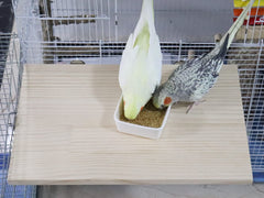 Dnoifne natural wood bird stand close up showing non toxic material for safe chewing