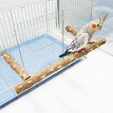 Dnoifne pepper wood parrot stand branch shows natural grip for secure perching.