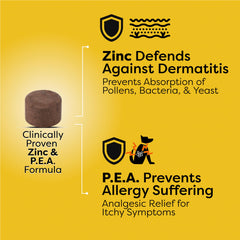 Doc Itchy dog ears healthy-skin close-up signals reduced irritation.