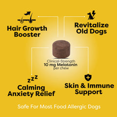 Doc Itchy packaging front highlights senior dog support and allergen-safe ingredients.