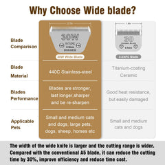 DODAER 440C stainless steel blade close-up highlights rust resistance