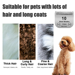 DODAER long coat pet grooming scene shows effective thick hair cutting