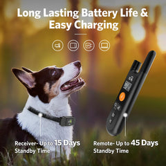 DOG CARE dog training collar vibration-mode close-up shows gentle correction options.