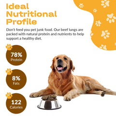Dog Chits beef lung fillets high-protein low-fat profile for snacks