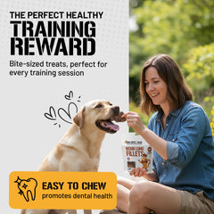 Dog Chits bison lung fillets training-treat close-up shows bite-sized motivation.