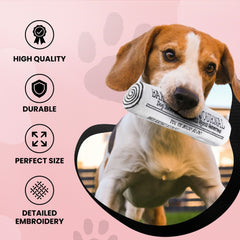 Dog Diggin Designs Runway Pup logo-patterned toy boosts visual appeal during games.