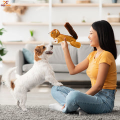 Dog Dog Big Fat Squirrel Toy fluffy tail close-up highlights soft inviting texture