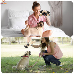 Dog Dog Pug plush displays durable fabric for lasting cuddles.