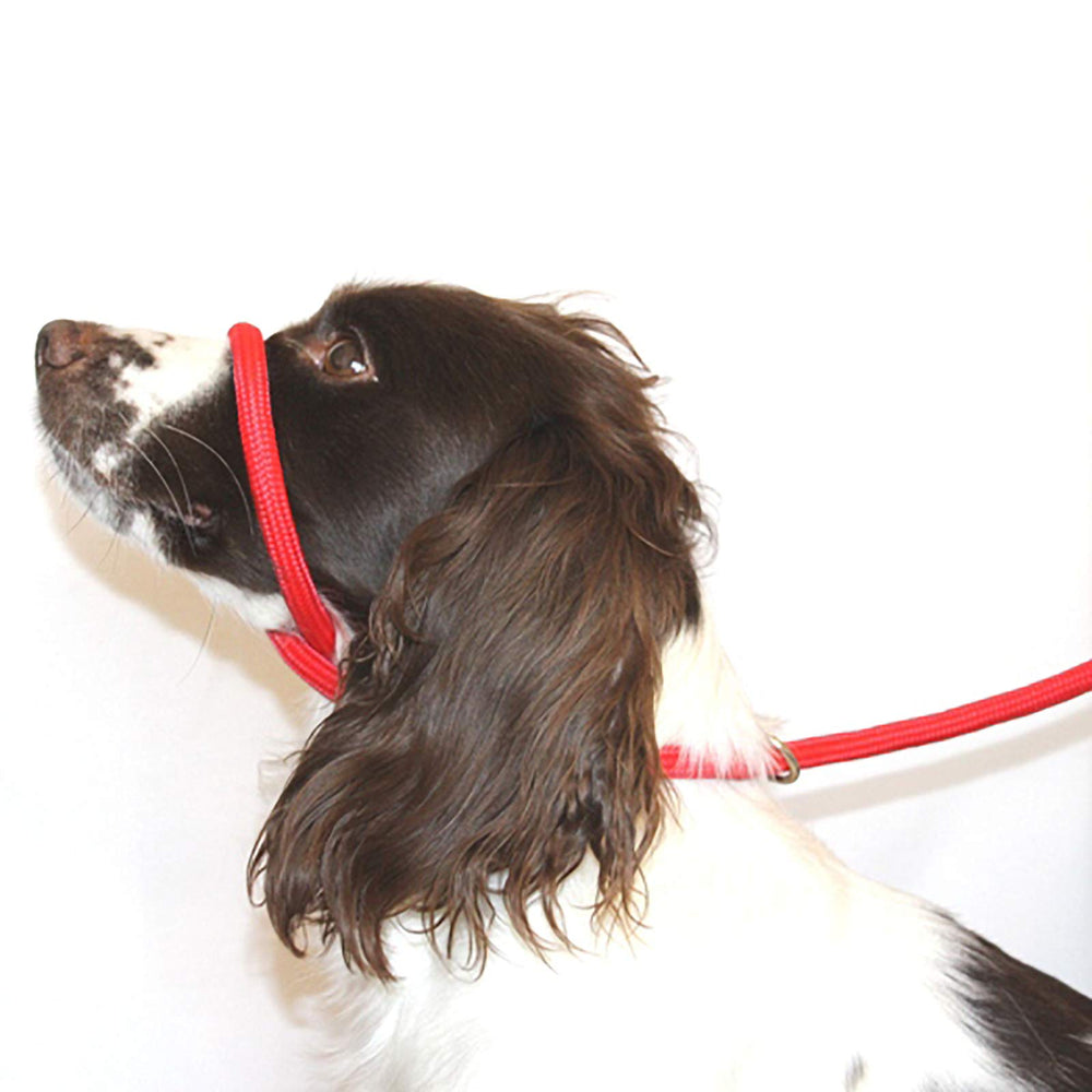 Dog & Field Figure of 8 Leash red closeup shows soft braided nylon for comfortable handling.