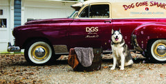 Dog Gone Smart Dirty Dog Shammy dual hand pockets closeup highlights improved grip during drying