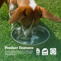 Dog Rocks safety for pets highlights compatibility in multi-pet homes.