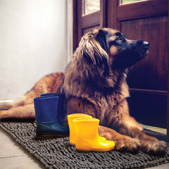 DogBuddy heavy-backing-waterproof demonstrates slip-free stability for busy doorways.