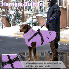 Dogcheer dog coat with harness back view demonstrates secure harness and reflective safety