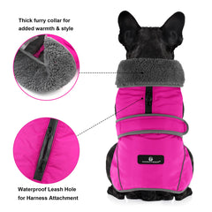 Dogcheer reflective strips coat enhances night visibility for safety