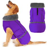Dogcheer Warm Dog Coat front view purple for cozy protection on chilly walks.