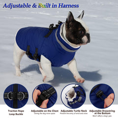 Dogcheer windproof turtleneck coat keeps neck warm during chilly walks