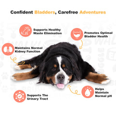 Doggie Dailies cranberry extract marshmallow root close-up supports bladder and kidney health.