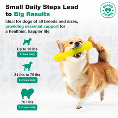 Doggie Dailies palatability test dogs happily tasting the joint supplement