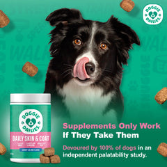 Doggie Dailies triple-collagen blend closeup supports skin integrity and hair growth.