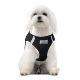 Doggie Design American River harness chest-pull safety for safer, calmer walks