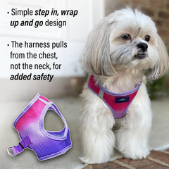 Doggie Design chest-pull harness highlights trachea-safe design reducing neck pressure
