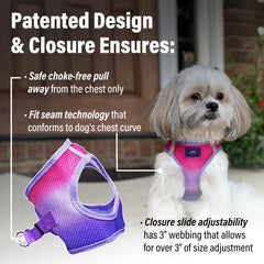Doggie Design double-D-ring harness emphasizes extra strength for strong pullers