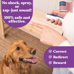 Doggie Don't device on walk shows humane bark control during outdoor training.