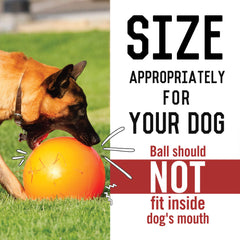 Doggie Dooley ball floating on water for splashy backyard adventures