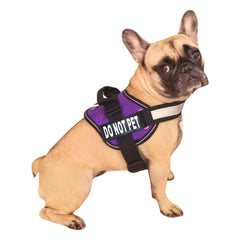 Doggie Stylz dog harness with DO NOT PET patches for clear space requests during walks.