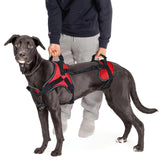 Doggie Stylz full-body lifting harness front view for safe lifting during transfers.