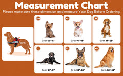 Doggie Stylz heavy-duty padded harness for secure, comfortable training sessions.