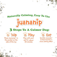 Doggijuana pizza bundle packaged to highlight variety and refills for extended fun.