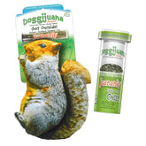 Doggijuana refillable-toy-bundle close-up shows scent-driven play and interactive fun.