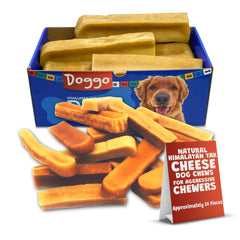 Doggo Dog Chew large yak-cheese chew designed for aggressive chewers and long-lasting engagement