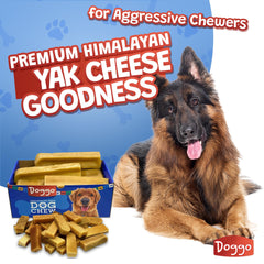 Doggo Dog Chew packaging image showing natural ingredients and no rawhide