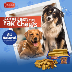 Doggo Dog Chew durability focus shows long lasting yak cheese chew for aggressive chewers