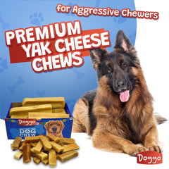 Doggo Dog Chew medium yak cheese Himalayan bone for medium dogs with durable chew