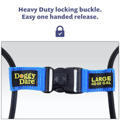 Doggy Dare lock demonstrates raccoon-proof protection in an outdoor setting.