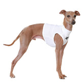 Doggystar cooling crop top for Italian Greyhound, sleeveless design for hot-day comfort.