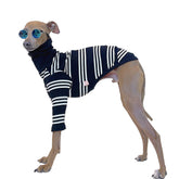 Doggystar Italian Greyhound clothes Ivory Stripe front view with flexible on-off fit.